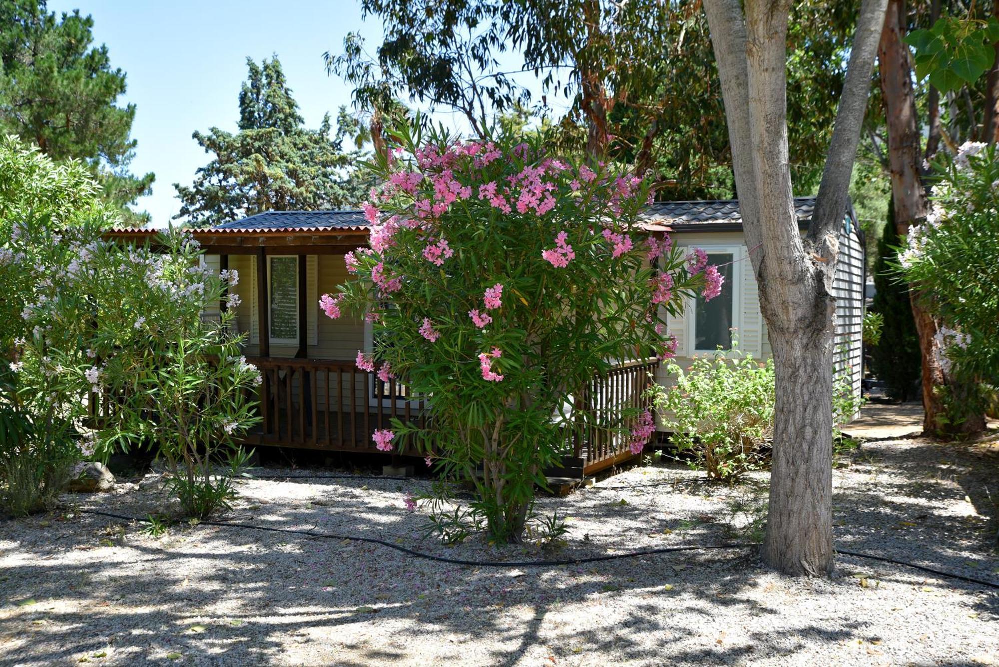 Location Du Ranch Hotel Algajola  Kültér fotó