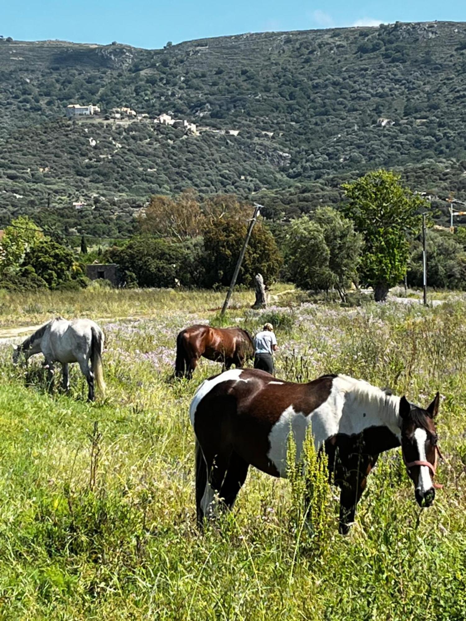 Location Du Ranch Hotel Algajola  Kültér fotó