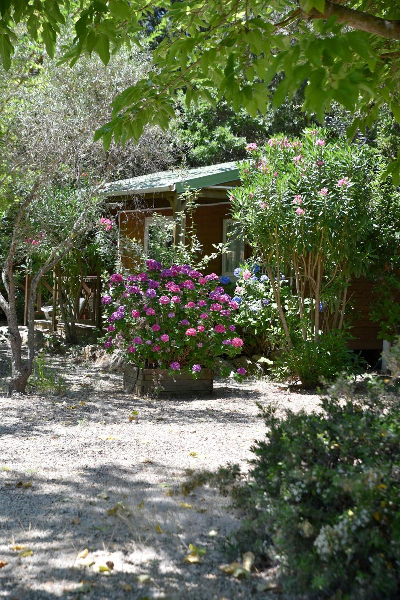 Location Du Ranch Hotel Algajola  Kültér fotó
