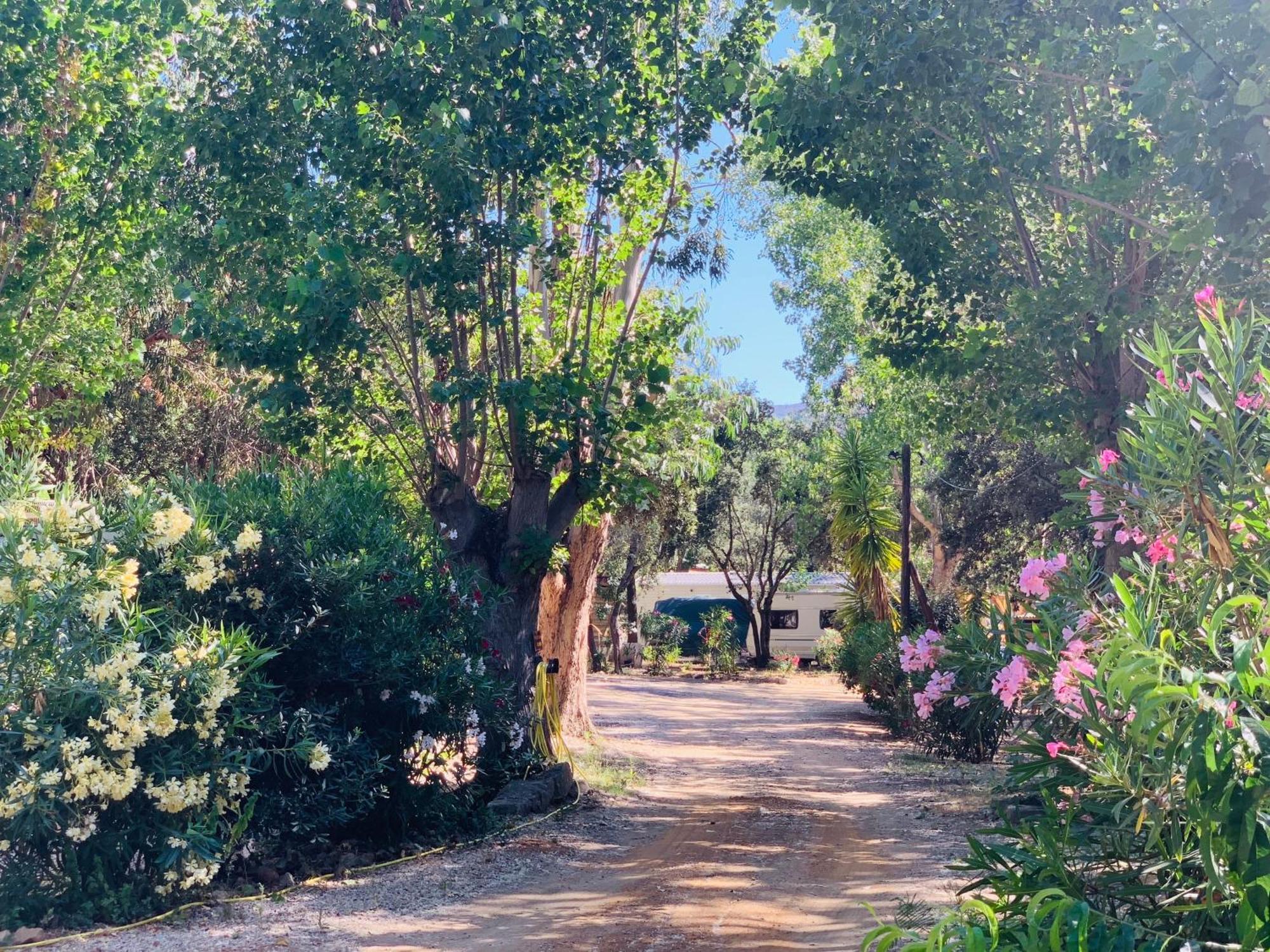 Location Du Ranch Hotel Algajola  Kültér fotó